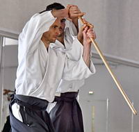 Sensei aikido Bussy Saint Georges arts martiaux traditionnels