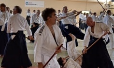 Aïkido traditionnel au dojo de Bussy Saint Georges un art martial pas un sport